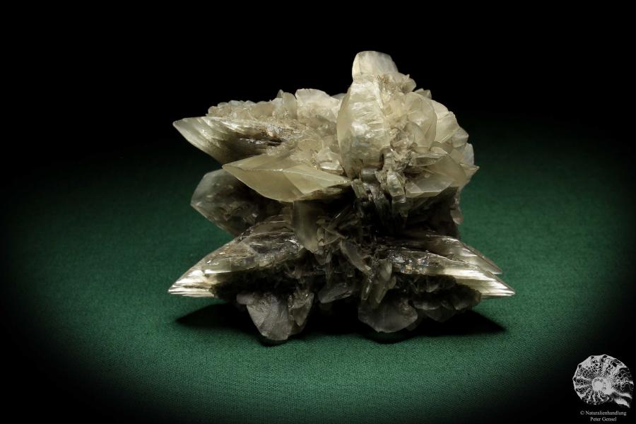 Gypsum XX (5529) a mineral from Germany | Minerals | From Germany