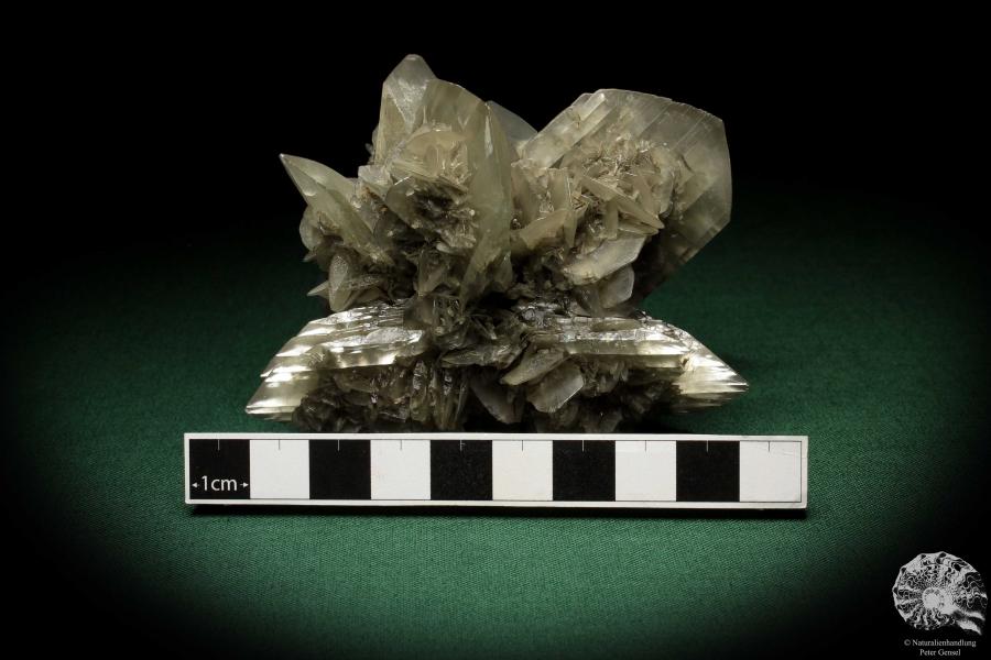 Gypsum XX (5529) a mineral from Germany | Minerals | From Germany