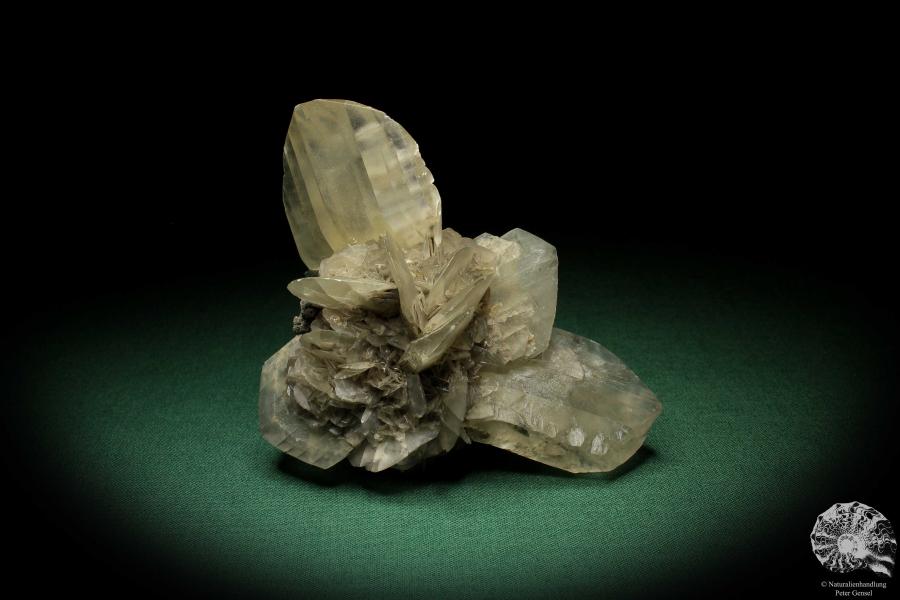 Gypsum XX (5530) a mineral from Germany | Minerals | From Germany