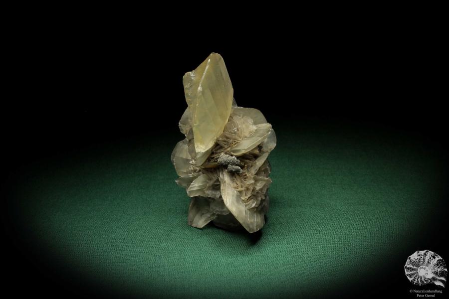 Gypsum XX (5530) a mineral from Germany | Minerals | From Germany