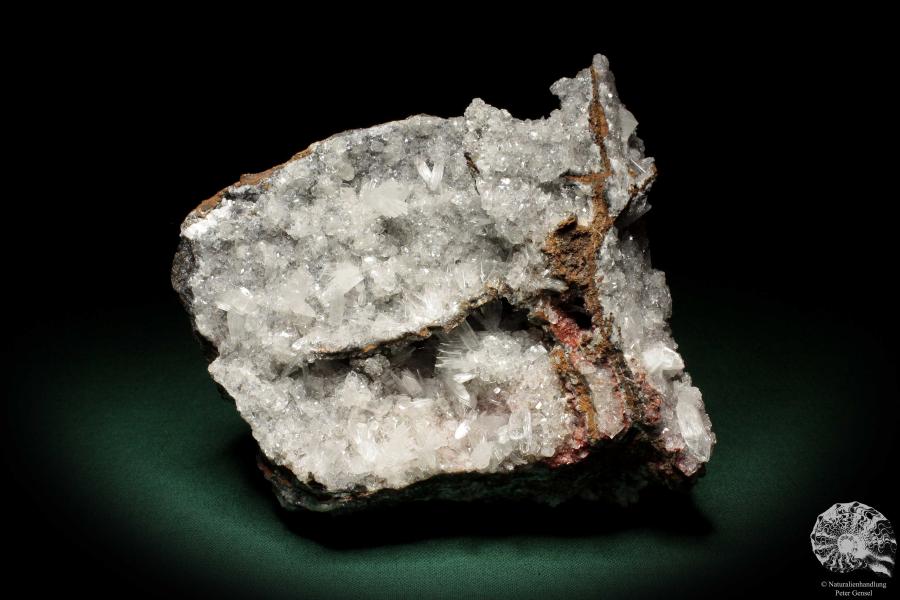 Hemimorphit XX auf Limonit (5579) ein Mineral aus Mexiko | Mineralien | Weltweit