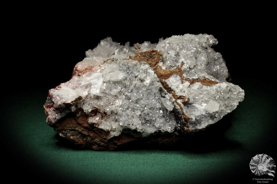 Hemimorphit XX auf Limonit (5579) ein Mineral aus Mexiko | Mineralien | Weltweit