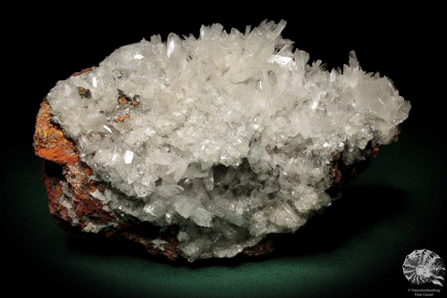 Hemimorphite XX on Limonite (5582) a mineral from Mexico | Minerals | Global