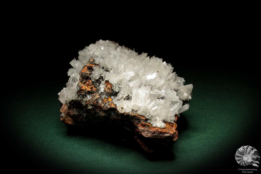 Hemimorphite XX on Limonite (5582) a mineral from Mexico | Minerals | Global