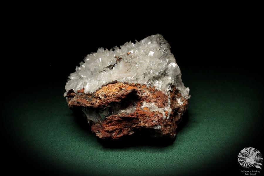 Hemimorphite XX on Limonite (5582) a mineral from Mexico | Minerals | Global