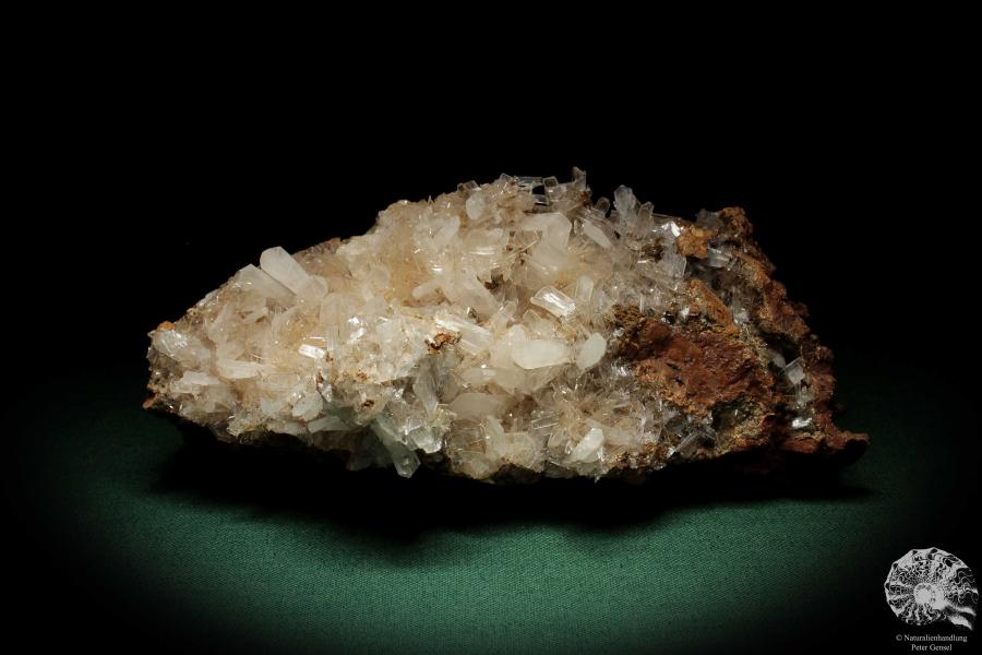 Hemimorphite XX on Limonite (5583) a mineral from Mexico | Minerals | Global