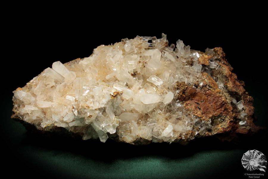 Hemimorphite XX on Limonite (5583) a mineral from Mexico | Minerals | Global