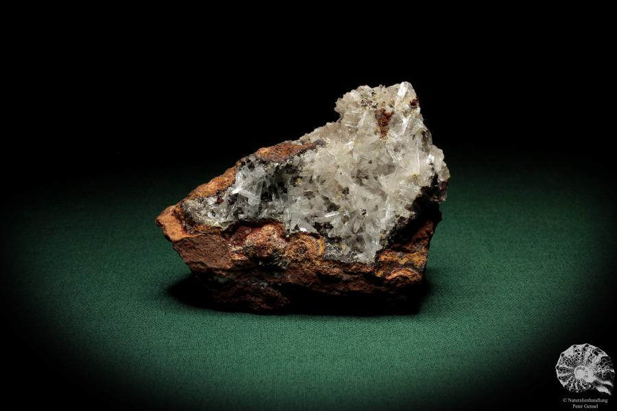 Hemimorphite XX on Limonite (5585) a mineral from Mexico | Minerals | Global