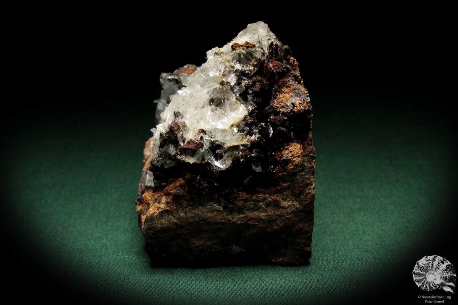 Hemimorphite XX on Limonite (5585) a mineral from Mexico | Minerals | Global