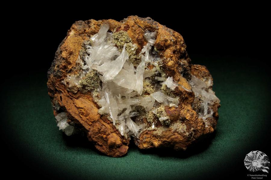 Hemimorphite XX on Limonite (5587) a mineral from Mexico | Minerals | Global