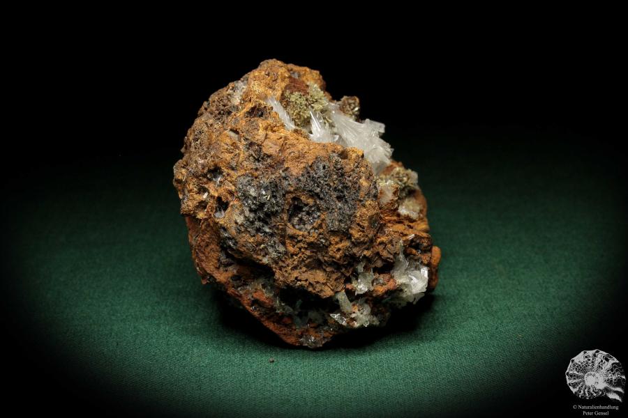 Hemimorphit XX auf Limonit (5587) ein Mineral aus Mexiko | Mineralien | Weltweit