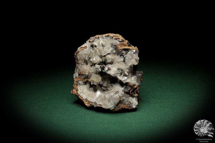 Hemimorphite XX on Limonite (5589) a mineral from Mexico | Minerals | Global