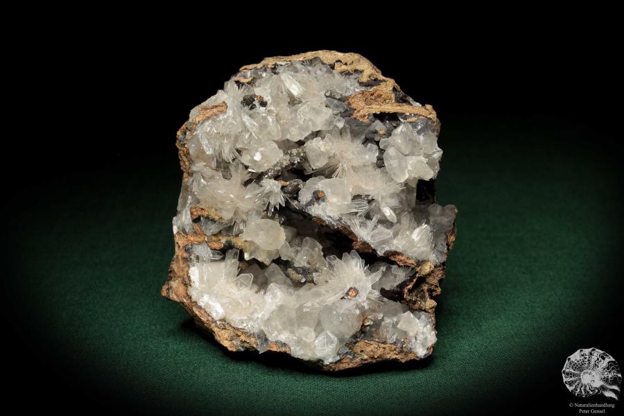 Hemimorphite XX on Limonite (5589) a mineral from Mexico | Minerals | Global