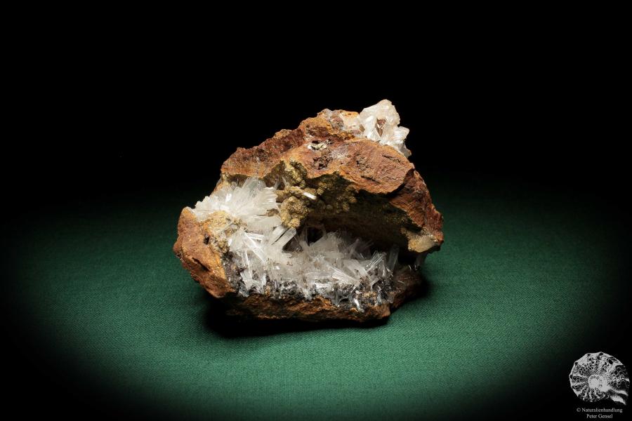 Hemimorphit XX auf Limonit (5591) ein Mineral aus Mexiko | Mineralien | Weltweit