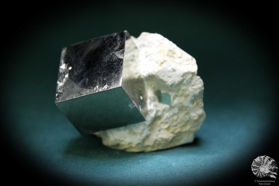 Pyrite XX in Marl Matrix (600) a mineral from Spain | Minerals | Global