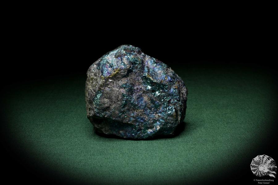 Chalkopyrit (7077) ein Mineral aus Mexiko | Mineralien | Weltweit