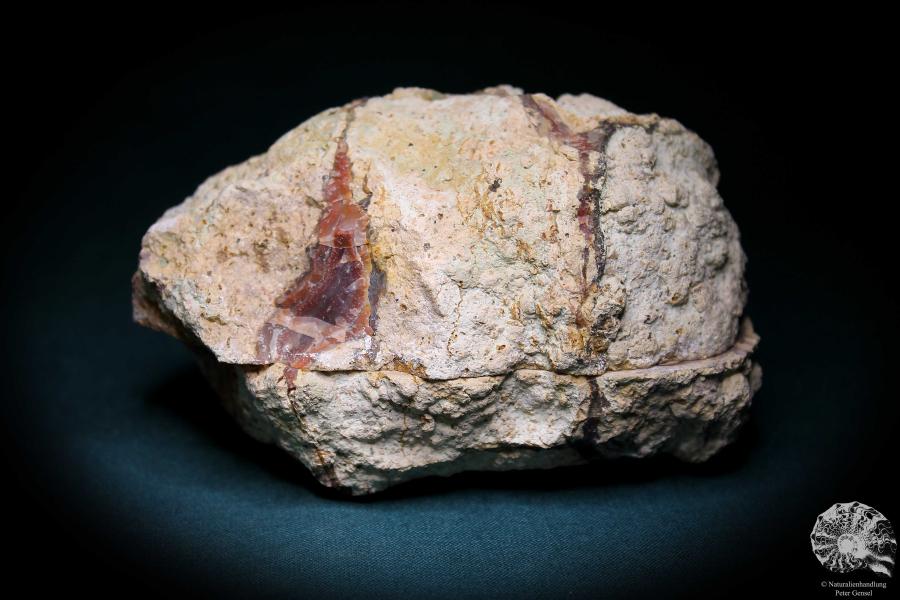 Achat (716) ein Mineral aus Deutschland | Mineralien | aus Deutschland