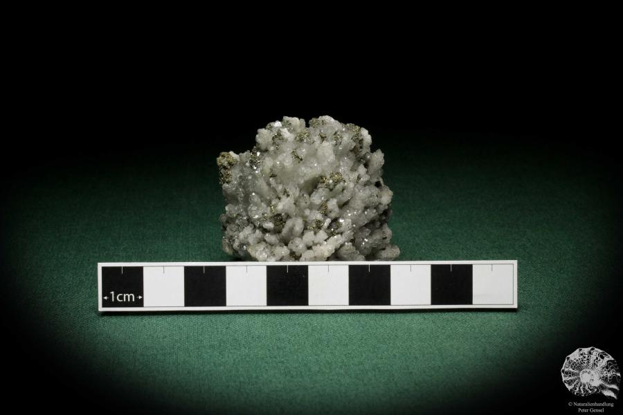 Calcite XX & Pyrite XX (8142) a mineral from Germany | Minerals | From Germany