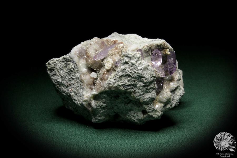 Amethyste XX (8160) a mineral from Italy | Minerals | Global