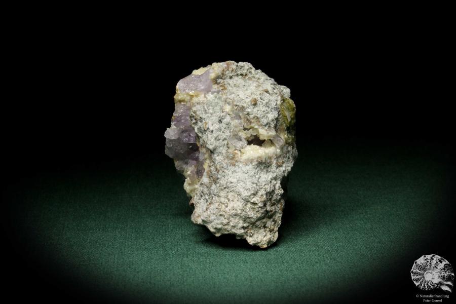 Amethyste XX (8161) a mineral from Italy | Minerals | Global