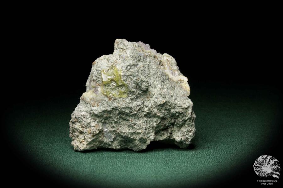 Amethyst XX ein Mineral