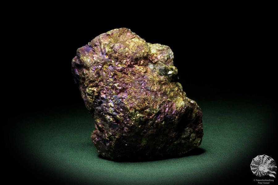 Chalcopyrite (9269) a mineral from Mexico | Minerals | Global