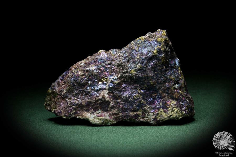 Chalkopyrit (9270) ein Mineral aus Mexiko | Mineralien | Weltweit