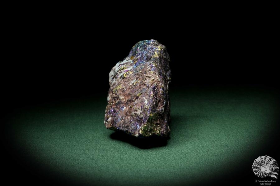 Chalcopyrite (9270) a mineral from Mexico | Minerals | Global