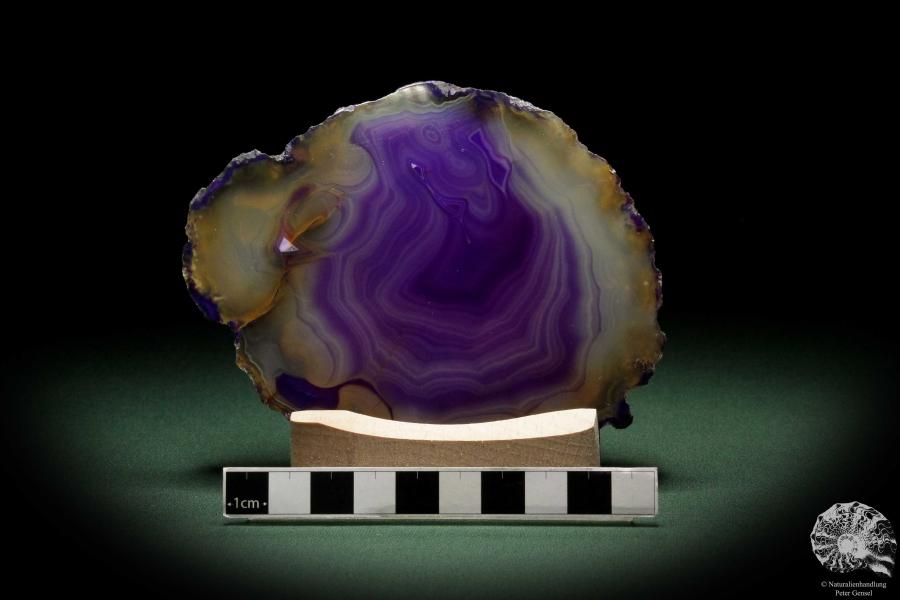 Agate Slice (9776) a mineral from South America | Crafts | From Minerals