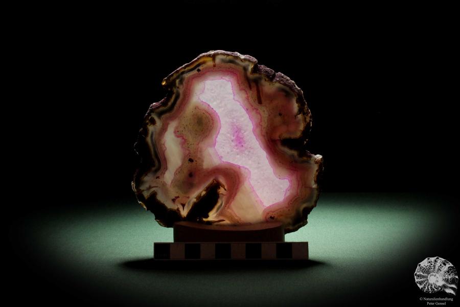 Agate Slice (9792) a mineral from South America | Crafts | From Minerals