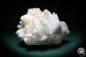 Aragonit XX (1001) ein Mineral aus Mexiko | Mineralien | Weltweit