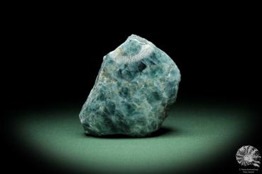 Apatite (10661) a mineral from Madagaskar | Minerals | Global