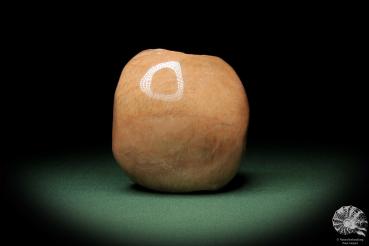 Peach-Moonstone (10724) a mineral from Madagascar | Minerals | Global