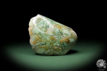 Fluorit (10766) ein Mineral aus Afrika | Mineralien | Weltweit