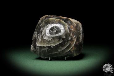 Black Moonstone (10843) a mineral from Madagascar | Minerals | Global