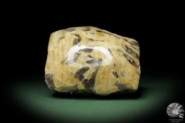 Schriftgranit (10853) ein Mineral aus Madagaskar | Mineralien | Weltweit