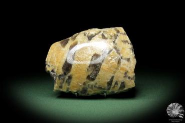 Schriftgranit (10857) ein Mineral aus Madagaskar | Mineralien | Weltweit