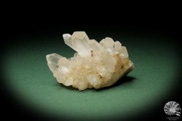 Rock Crystal (10927) a mineral from Madagascar | Minerals | Global