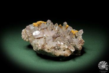 Bergkristall (10984) ein Mineral aus Madagaskar | Mineralien | Weltweit