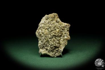 Chalcopyrit XX auf Dolomit XX (12575) ein Mineral aus Deutschland | Mineralien | aus Deutschland