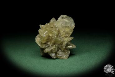 Gypsum XX (12577) a mineral from Germany | Minerals | From Germany