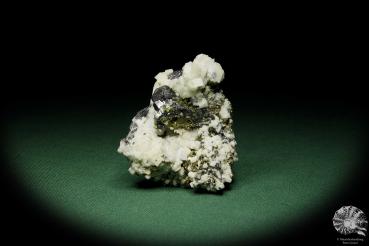 Dolomit XX auf Sphalerit XX (12581) ein Mineral aus Rumänien | Mineralien | Weltweit