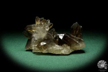 Smoky Quartz XX (15041) a mineral from Kazakhstan | Minerals | Global