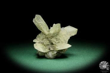 Gypsum XX (15045) a mineral from Germany | Minerals | From Germany