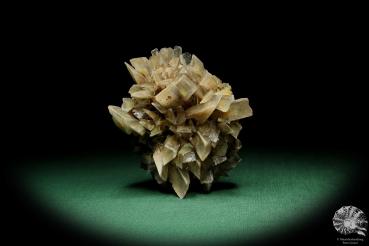 Baryte XX (15057) a mineral from Germany | Minerals | From Germany