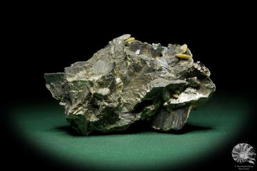 Arsenpyrite XX (15065) a mineral from Portugal | Minerals | Global