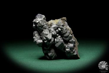 Galenit XX (15071) ein Mineral aus Polen | Mineralien | Weltweit