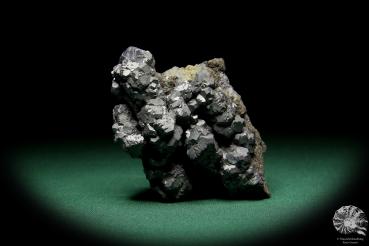 Galenit XX ein Mineral
