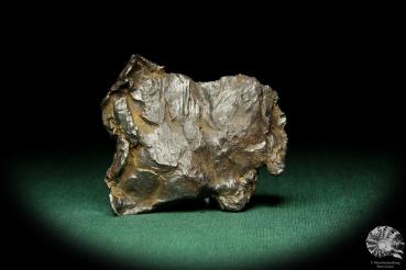 Ni-Fe Meteorit (15085) ein Mineral aus Russland | Mineralien | Weltweit