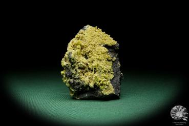 Pyromorphit XX (15087) ein Mineral aus Spanien | Mineralien | Weltweit